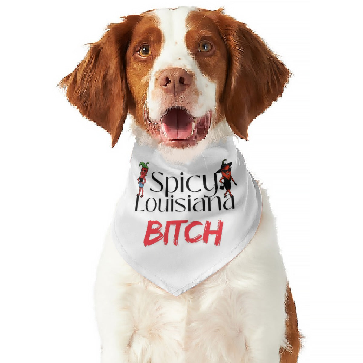 Dog wearing a bandana with 'Spicy Louisiana Bitch' text on a white background