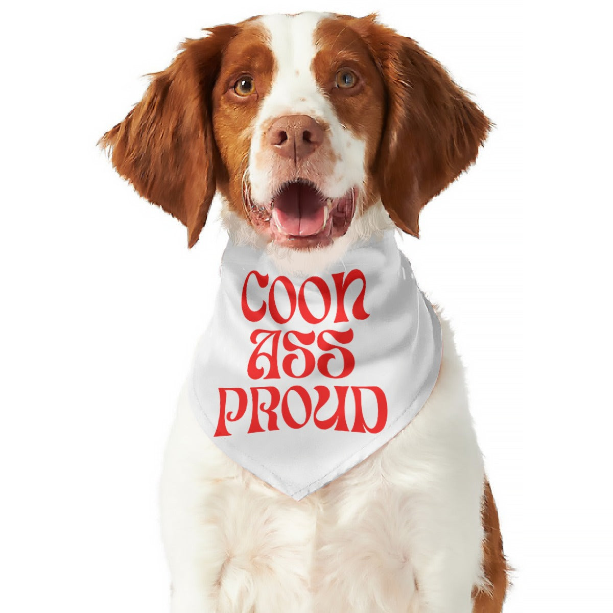 Dog wearing a bandana with 'COON ASS PROUD' text on a white background