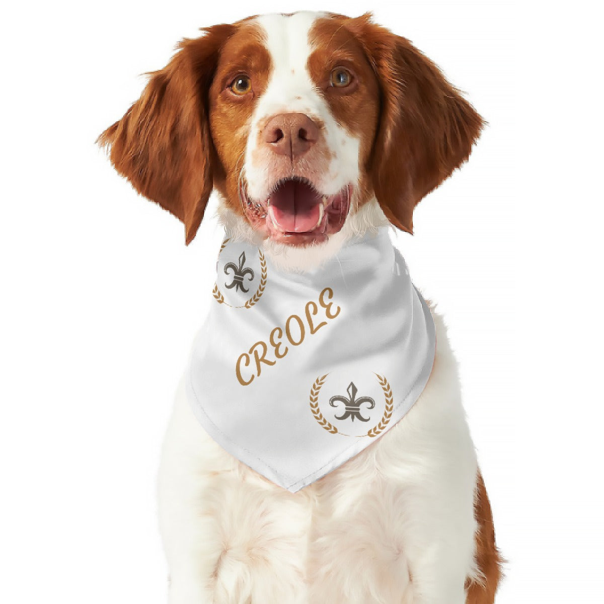 Dog wearing a white bandana with 'CREOLE' printed on it against a white background