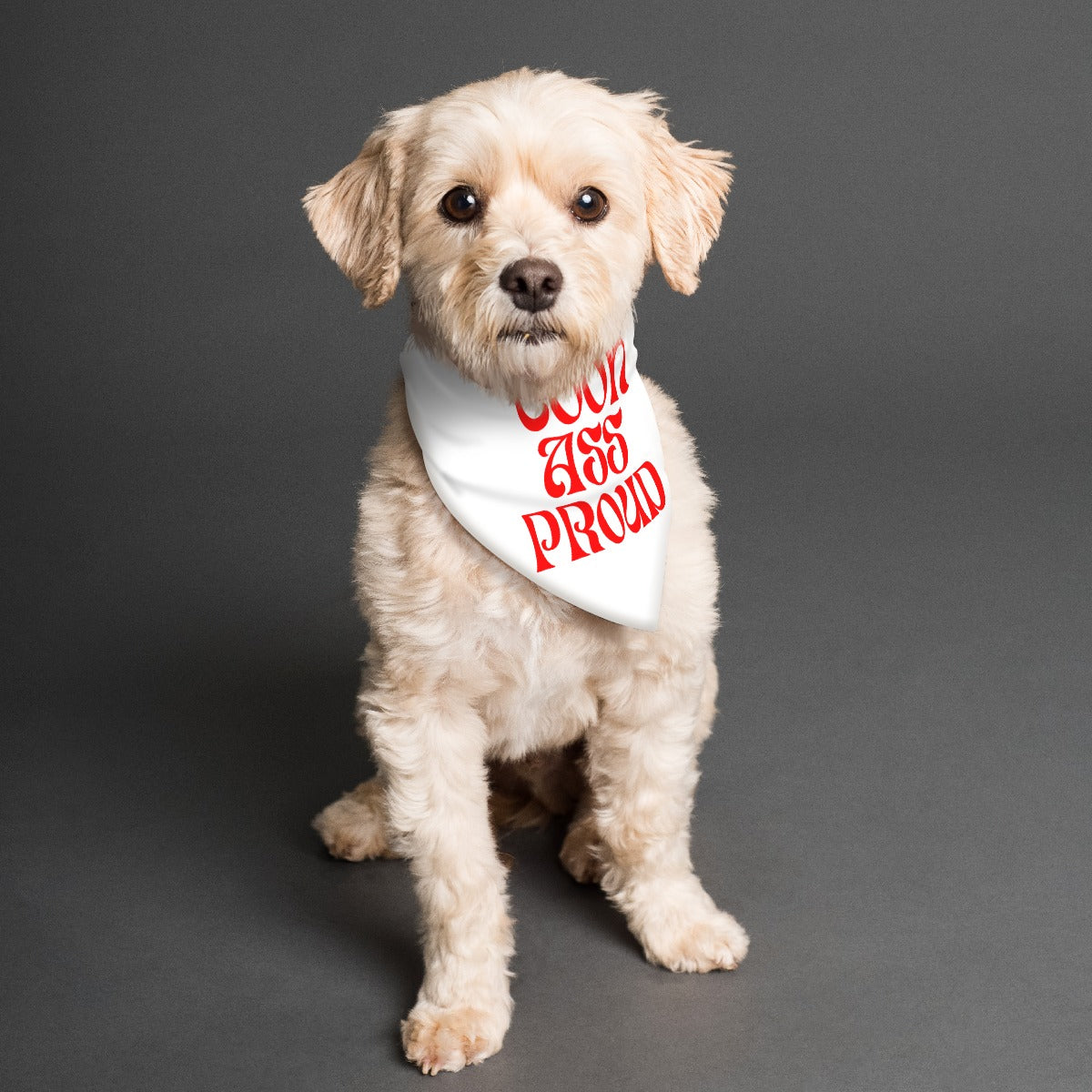 Dog wearing a bandana with red text on a gray background