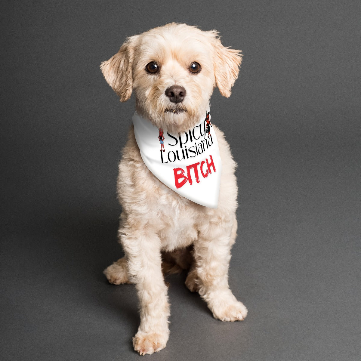Dog wearing a bandana with text on a gray background