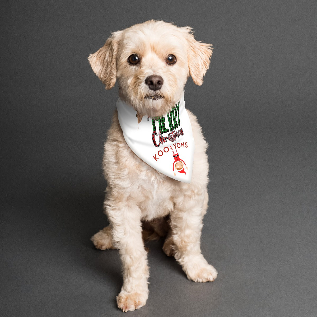 Dog wearing a bandana with a Kool-Aid logo on a gray background