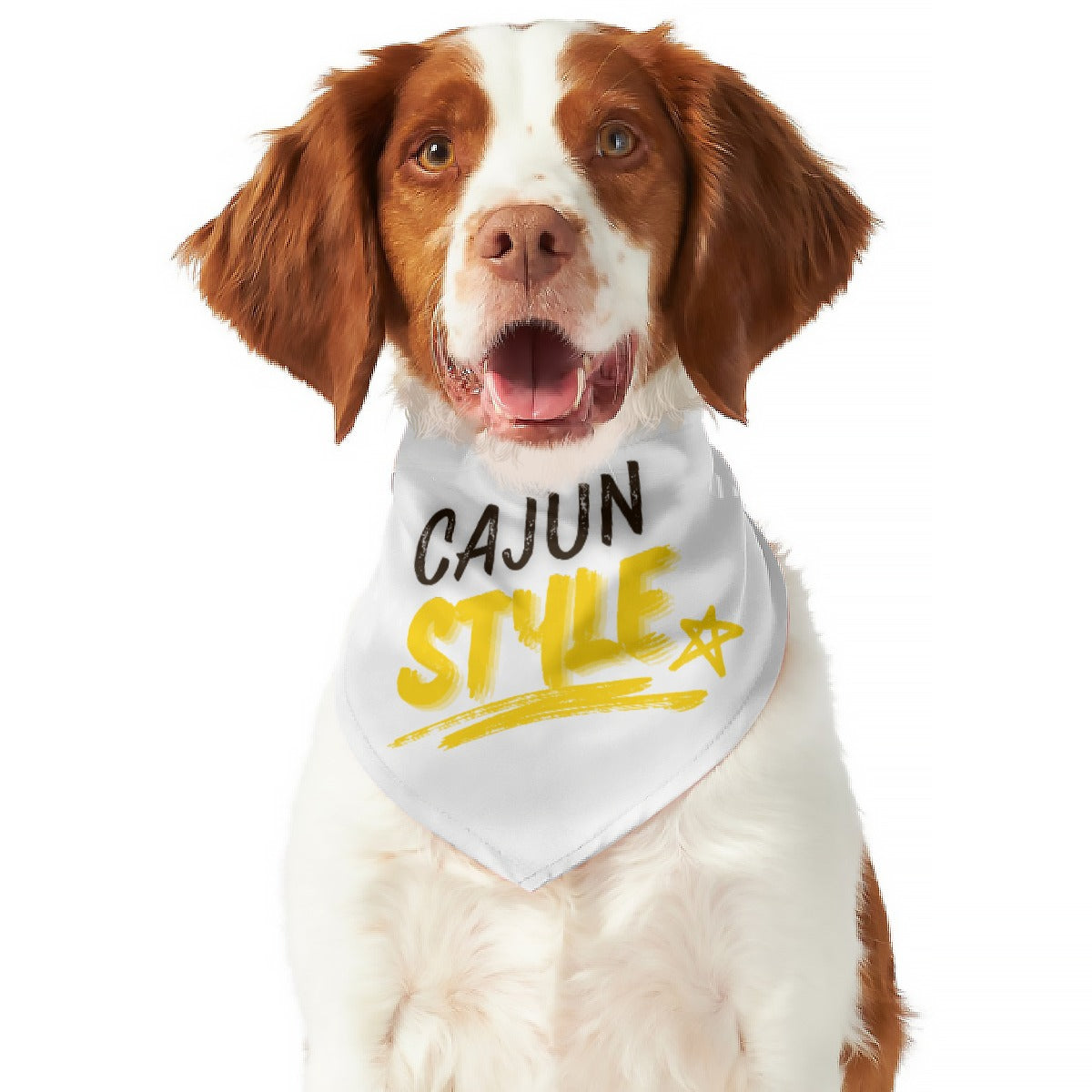 Dog wearing a bandana with 'Cajun Style' text on a white background