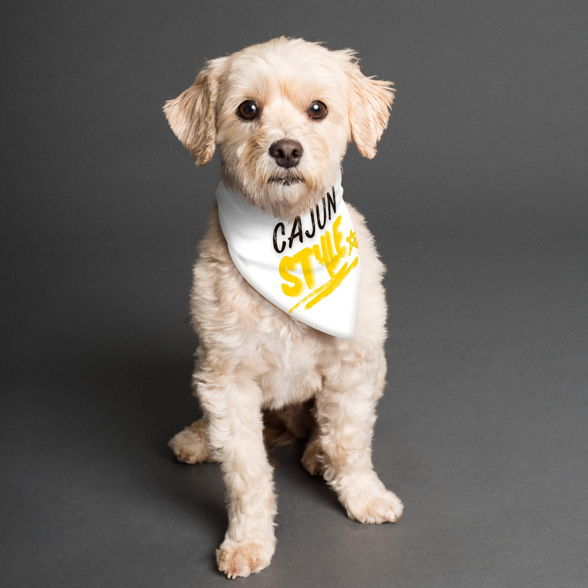Dog wearing a bandana with 'Cajun Style' text on a gray background